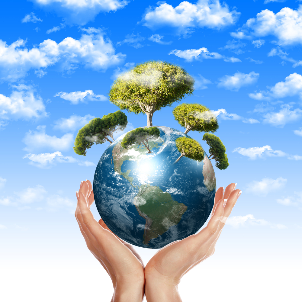 Formations Environnement