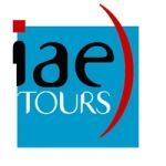 IAE Tours