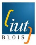 DUT SRC - IUT de Blois IUT de Blois