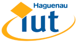 Licence Pro Techniques et activit�s de l'image et du son - IUT D'haguenau IUT d'Haguenau