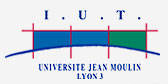 IUT Jean Moulin Lyon 3